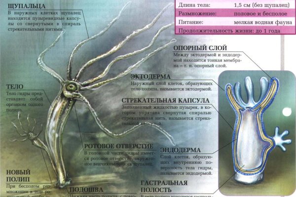 Кракен сайт kraken2