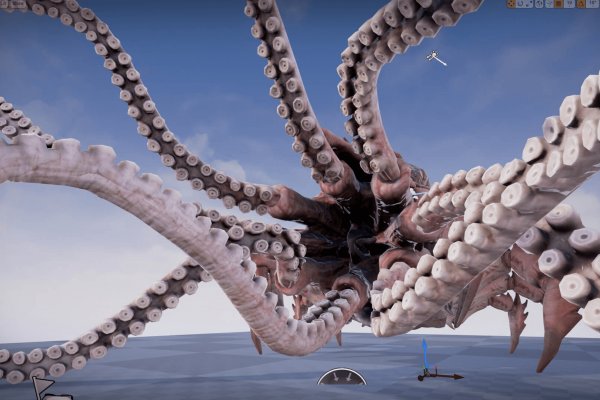 Kraken17 at