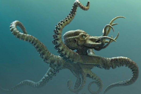 Kraken onion ссылка