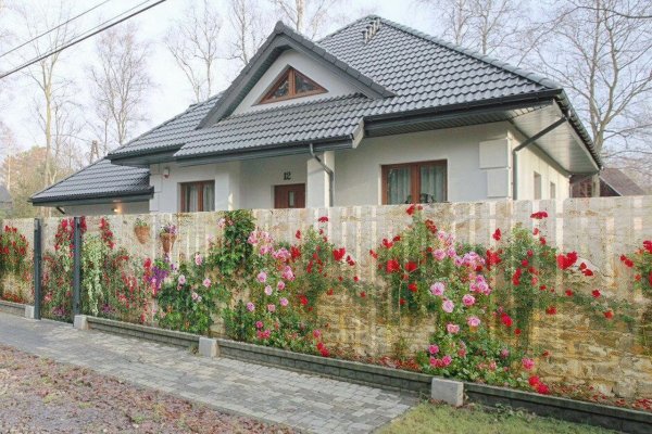 Кракен маркетплейс в питере