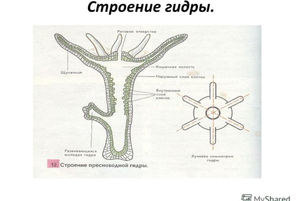 Кракен маркетплейс ссылка телеграмм