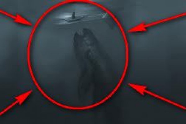 Kraken рабочее зеркало