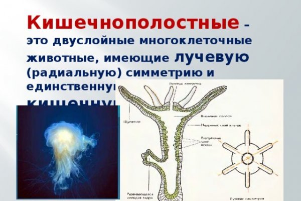 Кракен сбой