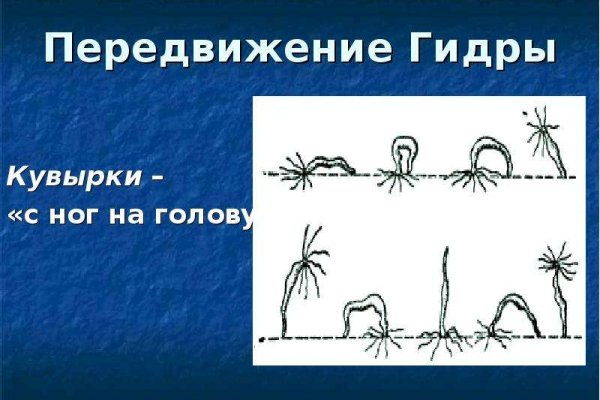 Kraken21 at сайт