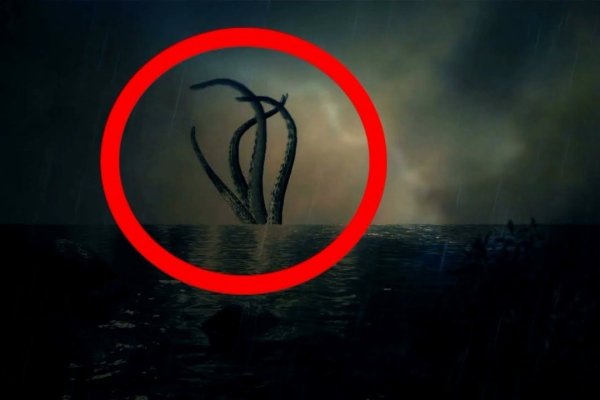 Kraken dark net