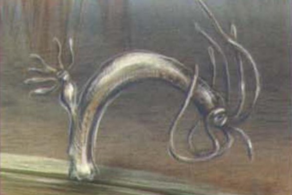 Kraken com darknet