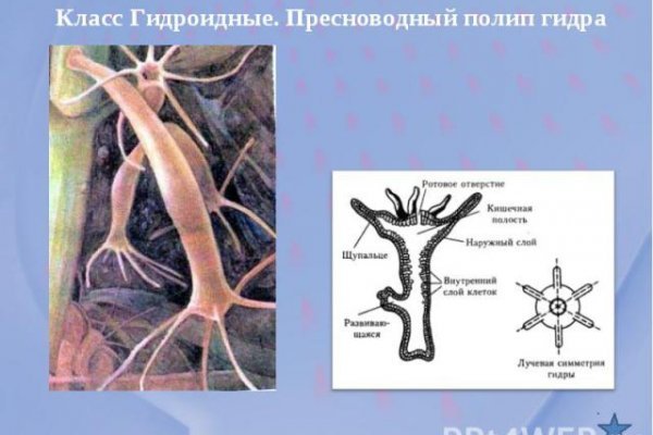 Не могу зайти в кракен
