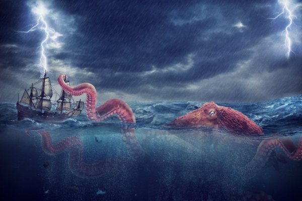 Kraken darknet marketplace