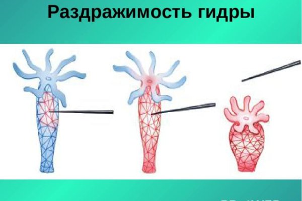 Найти ссылку на кракен