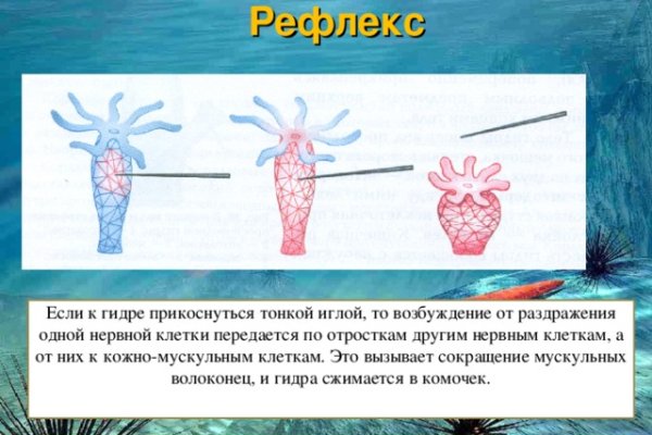Онлайн магазин наркотиков